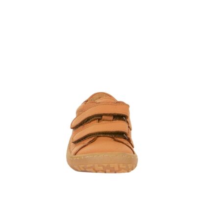 Froddo Base – Bild 25