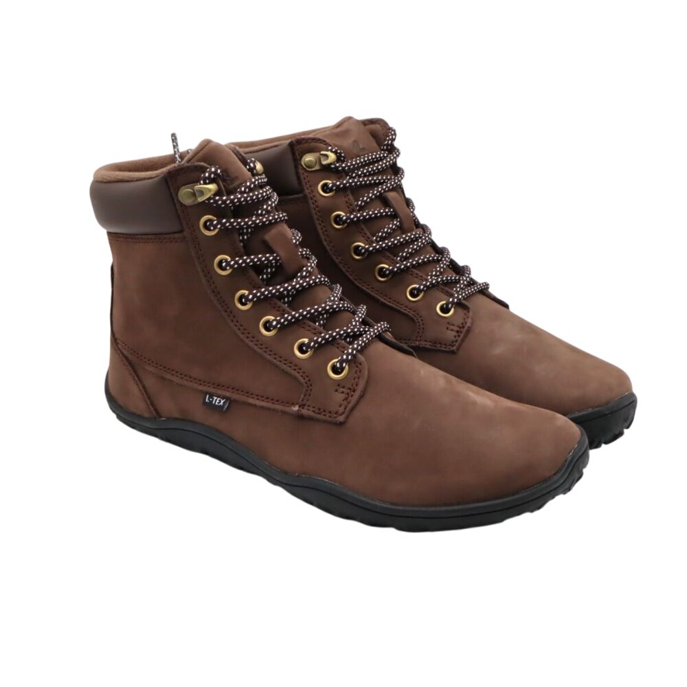 Motion TX – Bild 2